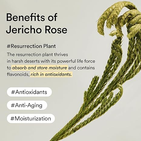 Abib Jericho Rose Creme Nutrition Tube