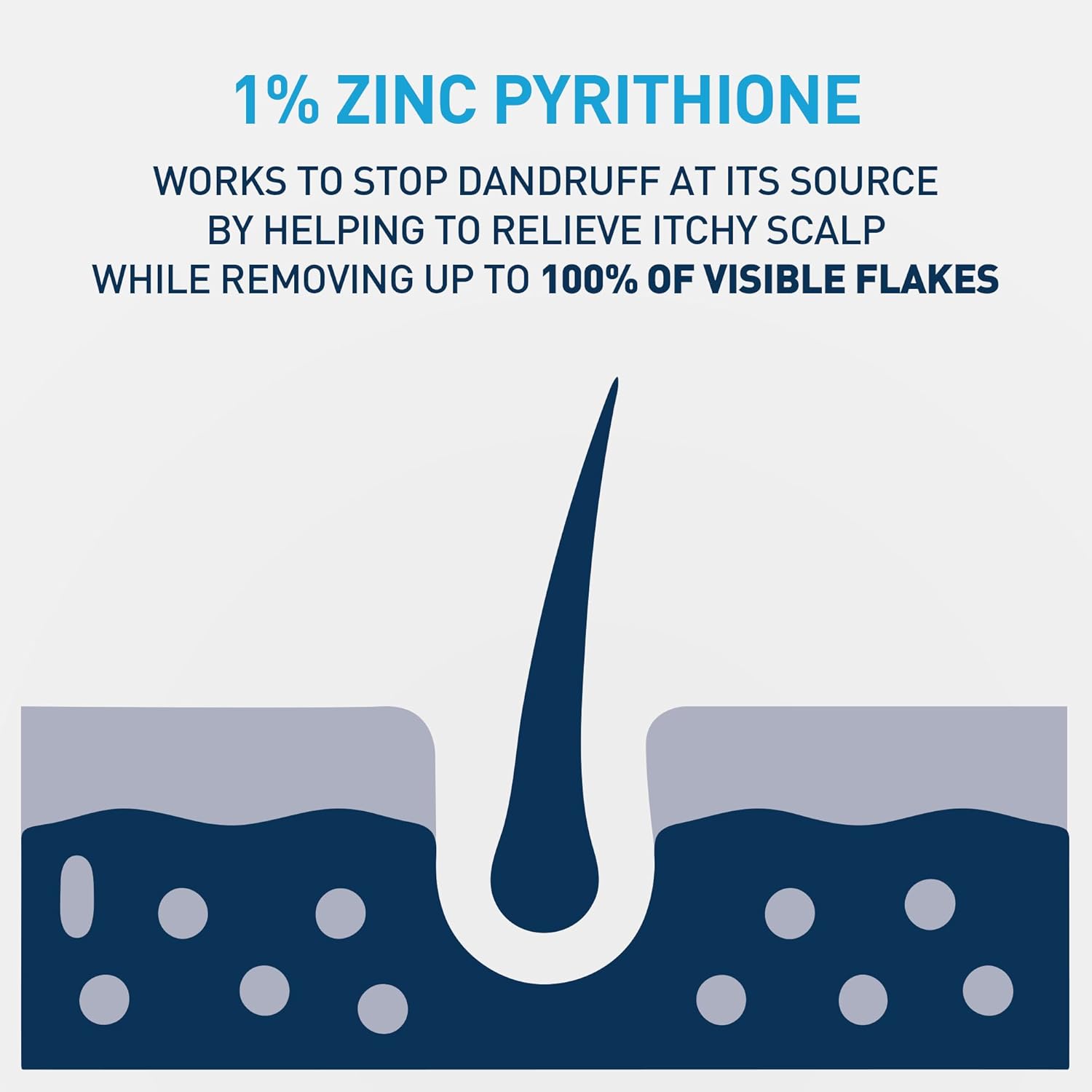 CeraVe Hydrating Anti Dandruff Shampoo 1% Pyrithione Zinc