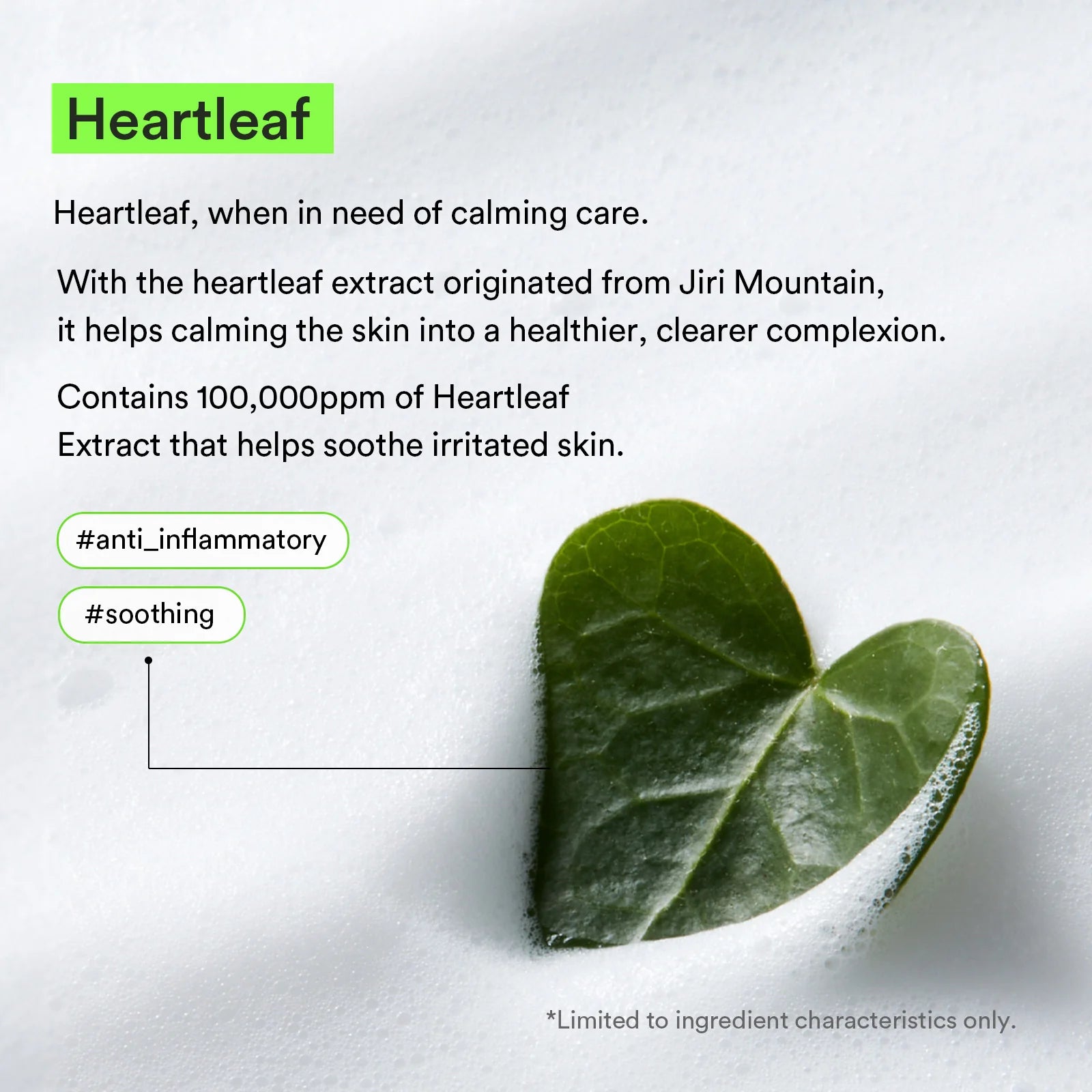 Abib Acne Foam Cleanser Heartleaf Foam